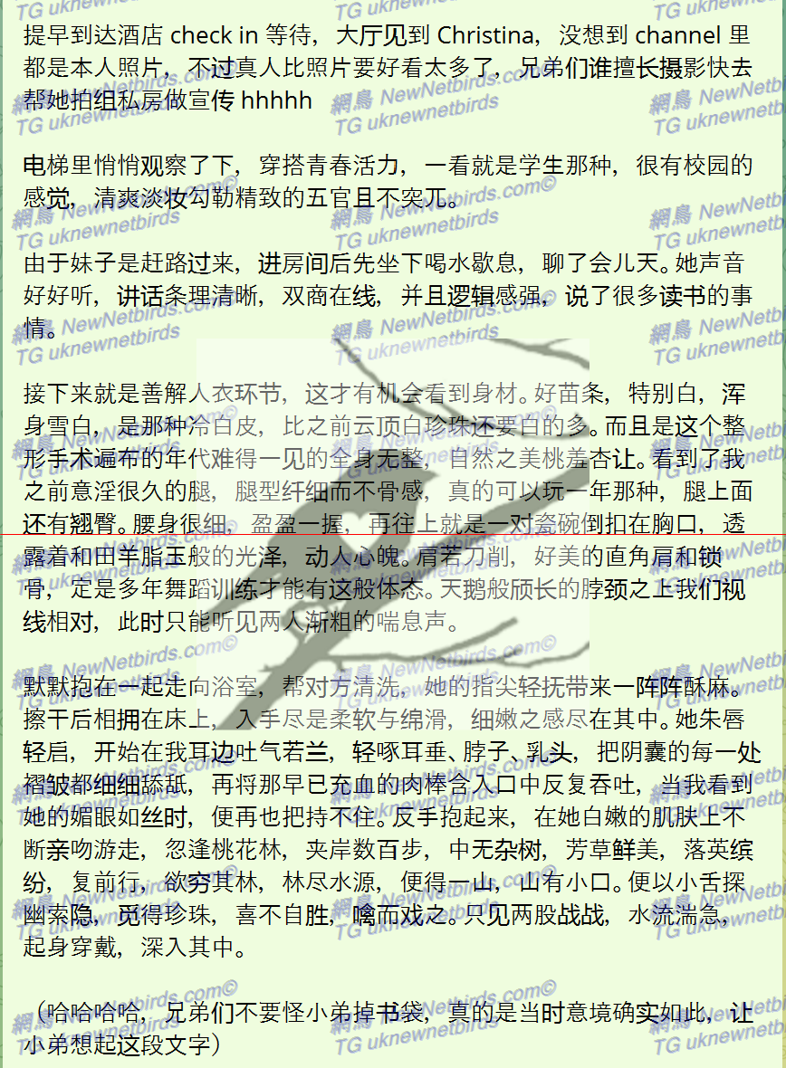 戰號 152 2.png
